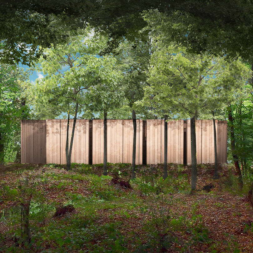 Perspective depuis la forêt